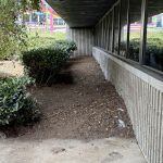 20260402184511_0-image19