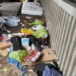 20260402184511_1-image11